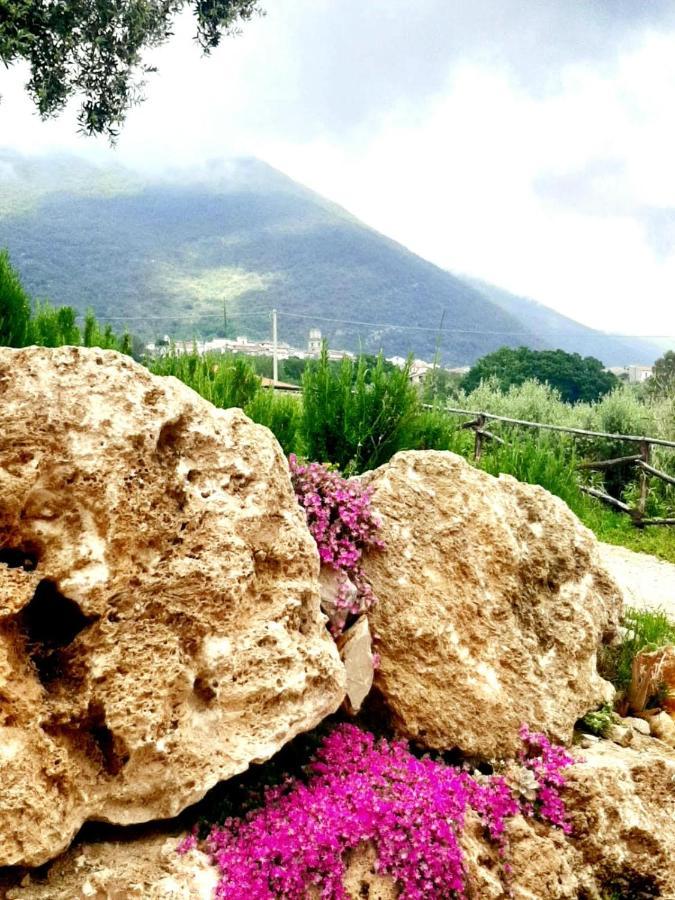 B&B Villa Giulia Capaccio Dış mekan fotoğraf