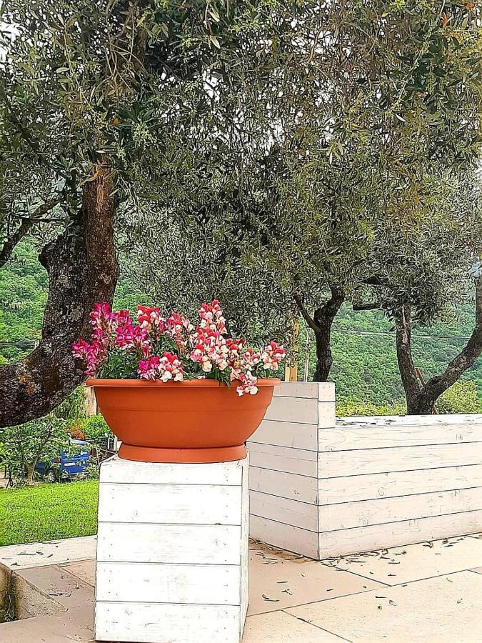 B&B Villa Giulia Capaccio Dış mekan fotoğraf