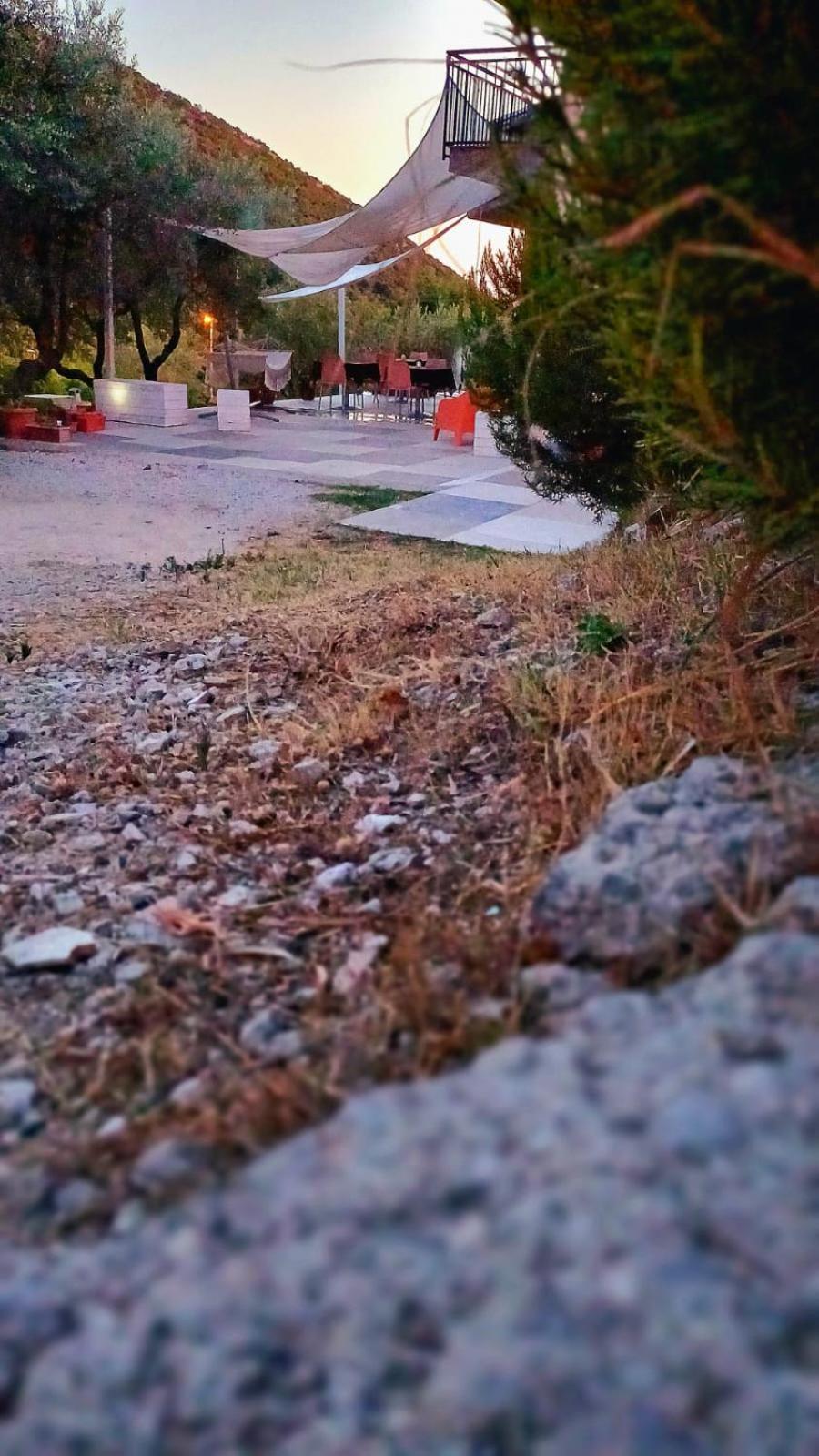 B&B Villa Giulia Capaccio Dış mekan fotoğraf